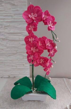 orchideainpannolencilacasacreativa